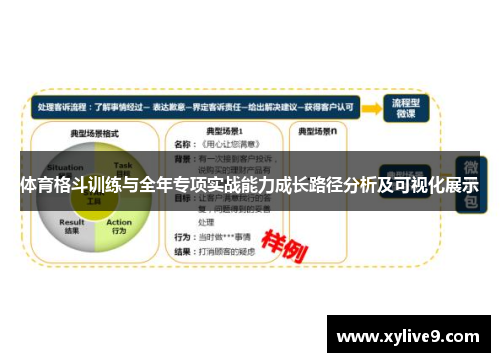 体育格斗训练与全年专项实战能力成长路径分析及可视化展示