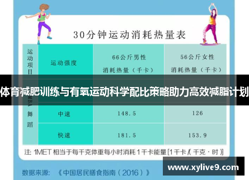 体育减肥训练与有氧运动科学配比策略助力高效减脂计划