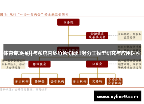 体育专项提升与系统内多角色协同任务分工模型研究与应用探索
